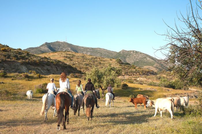 Rancho La Paz - Haras andalou