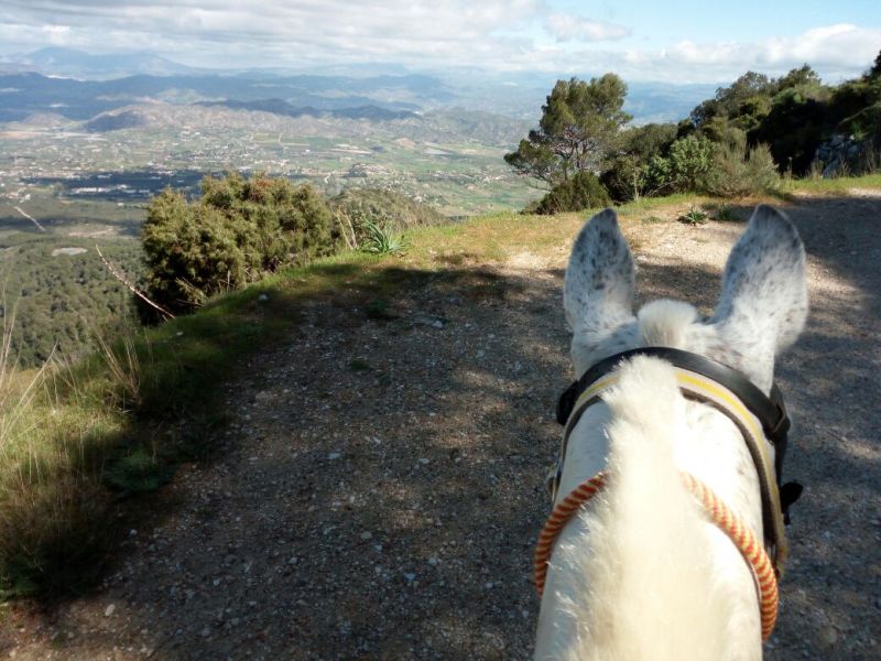 Rancho La Paz - Haras andalou