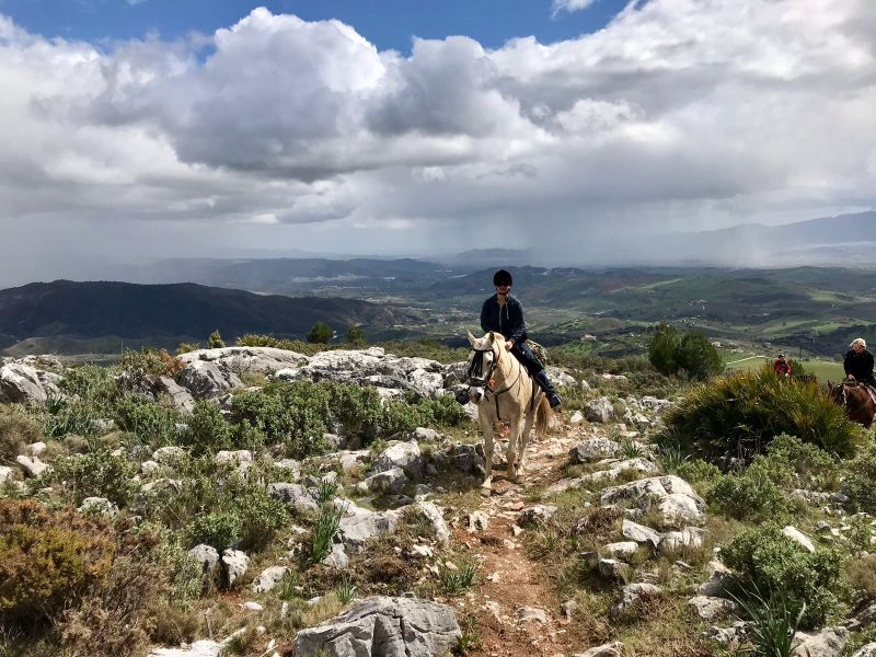 Rancho La Paz - Haras andalou