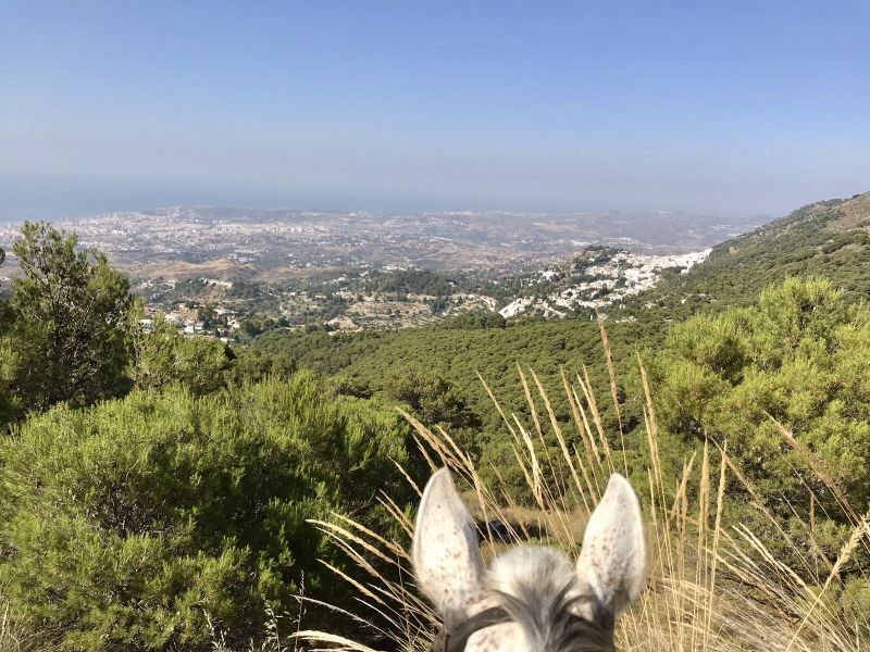 Rancho La Paz - Haras andalou