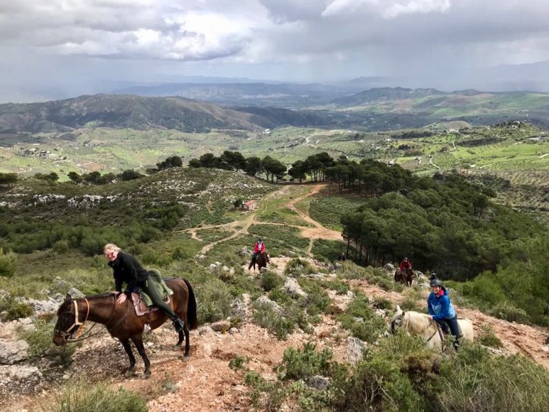 Rancho La Paz - Haras andalou