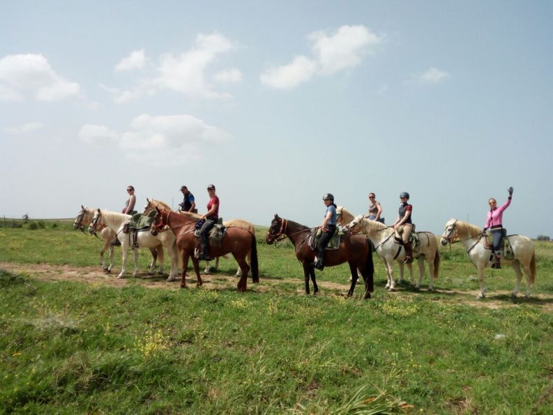 Rancho La Paz - Haras andalou