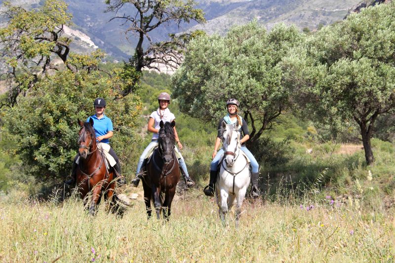 Rancho La Paz - Haras andalou