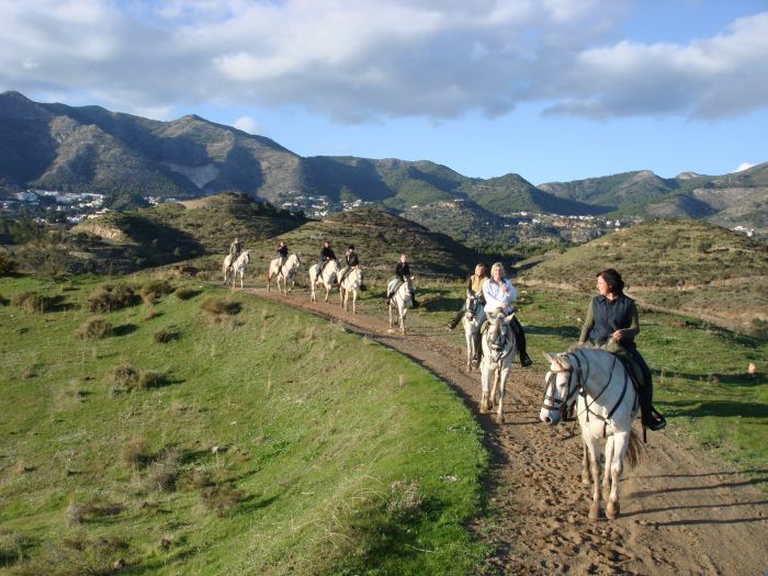 Rancho La Paz - Haras andalou
