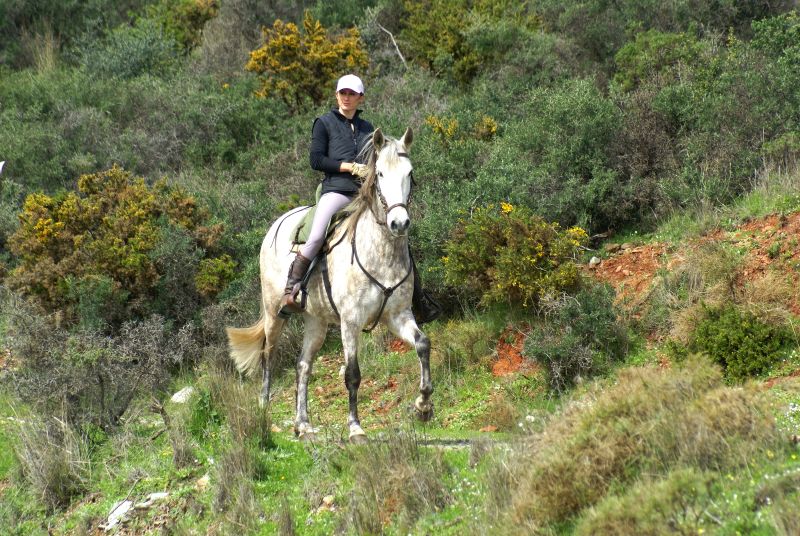 Rancho La Paz - Haras andalou