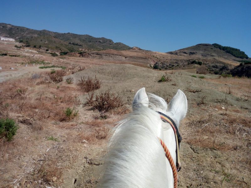 Rancho La Paz - Haras andalou