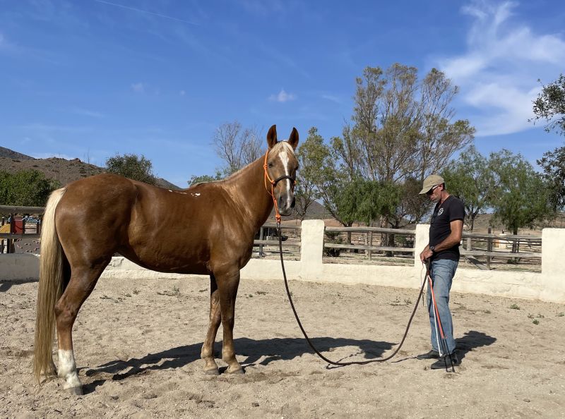 Balades en &eacute;toile &agrave; Cabo de Gata