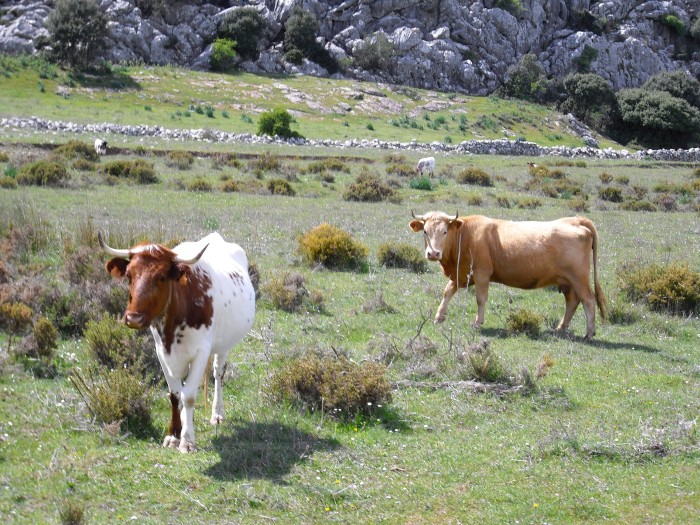 Ronda à Gibraltar Al-Andalus