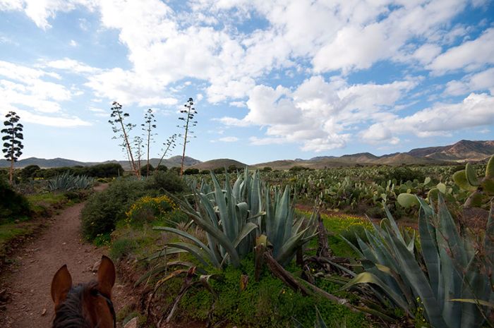 Trail de Cabo de Gata