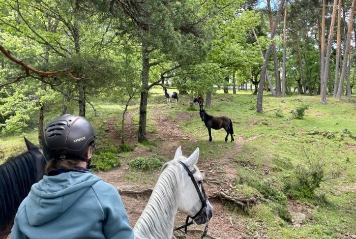 La vallée de Burgo d'Arlanza en Burgos