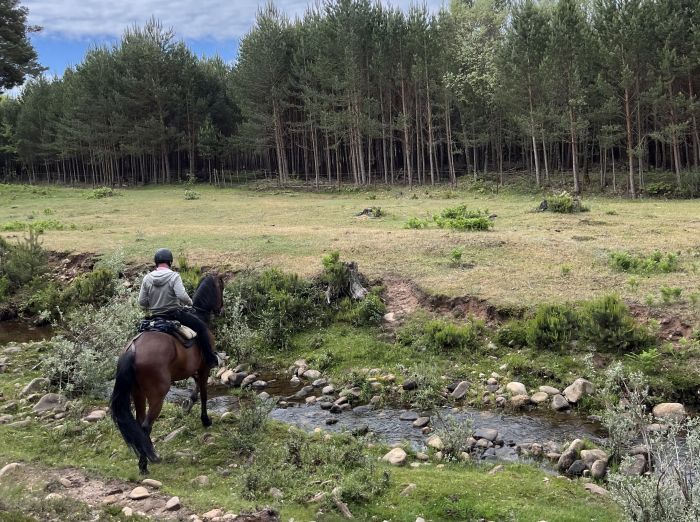 La vallée de Burgo d'Arlanza en Burgos