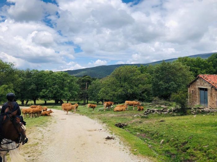 La vallée de Burgo d'Arlanza en Burgos