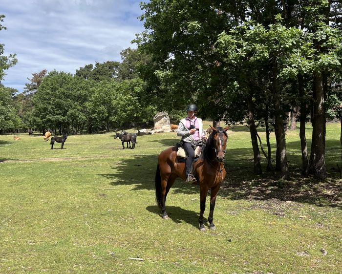 La vallée de Burgo d'Arlanza en Burgos