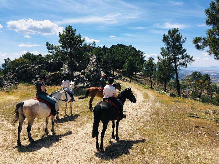 Sur les traces des conquistadors