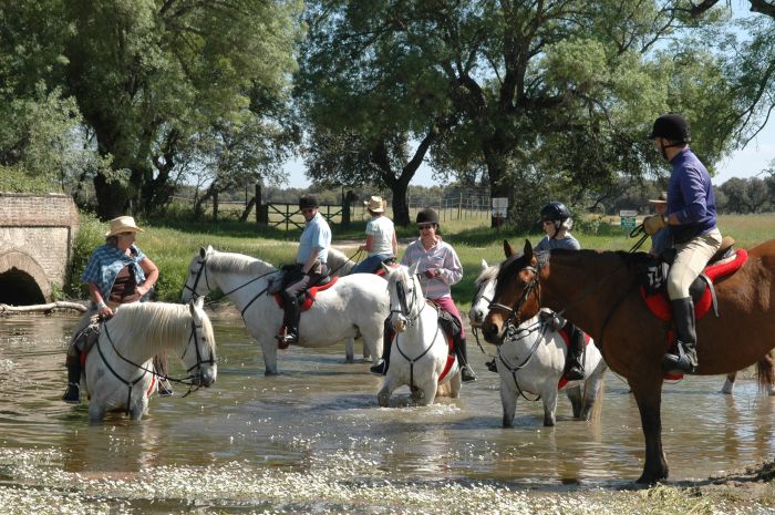 Sur les traces des conquistadors
