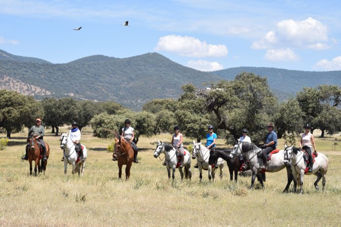 Sur les traces des conquistadors