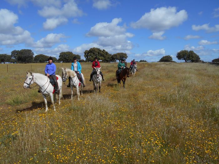 Sur les traces des conquistadors