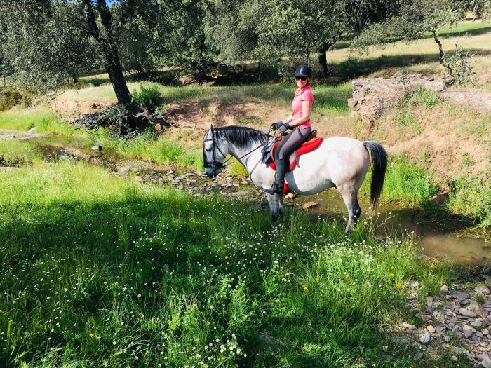 Sur les traces des conquistadors