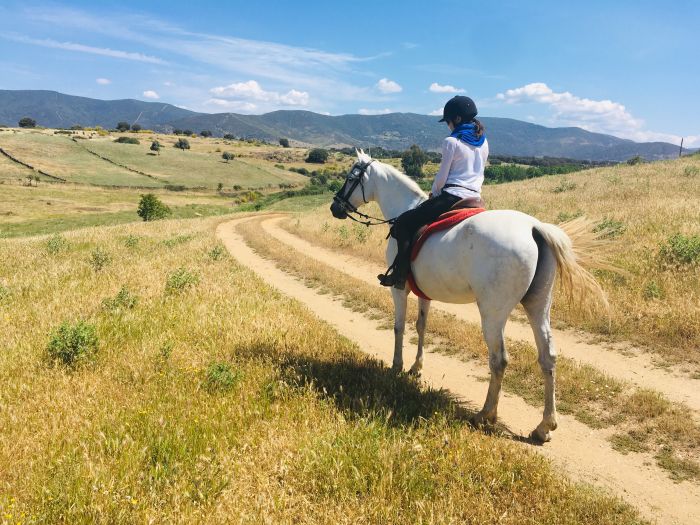 Sur les traces des conquistadors