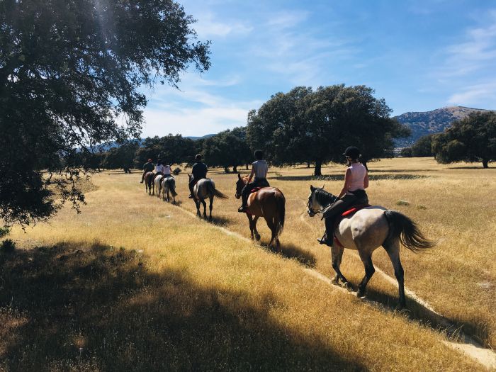 Sur les traces des conquistadors