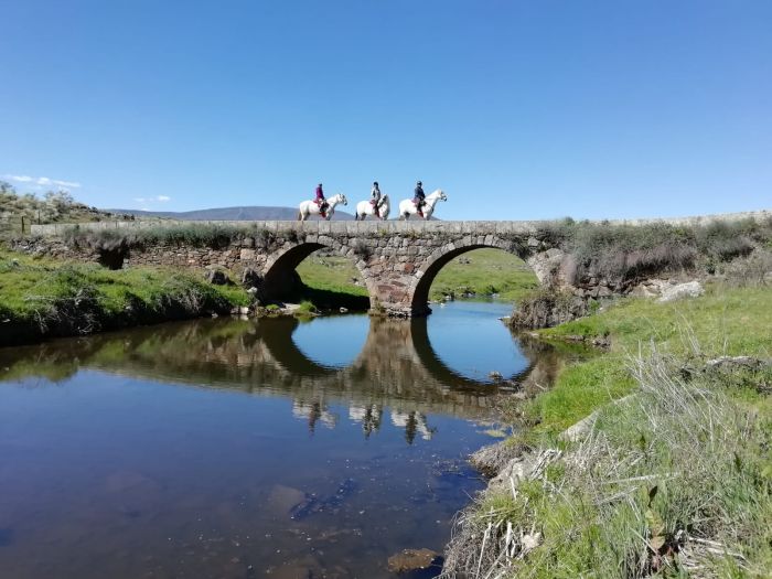 Sur les traces des conquistadors