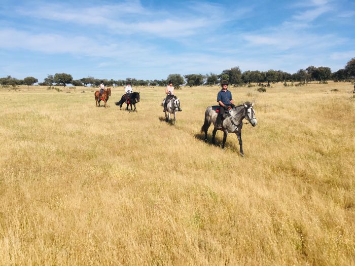 Sur les traces des conquistadors