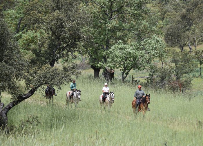Sur les traces des conquistadors