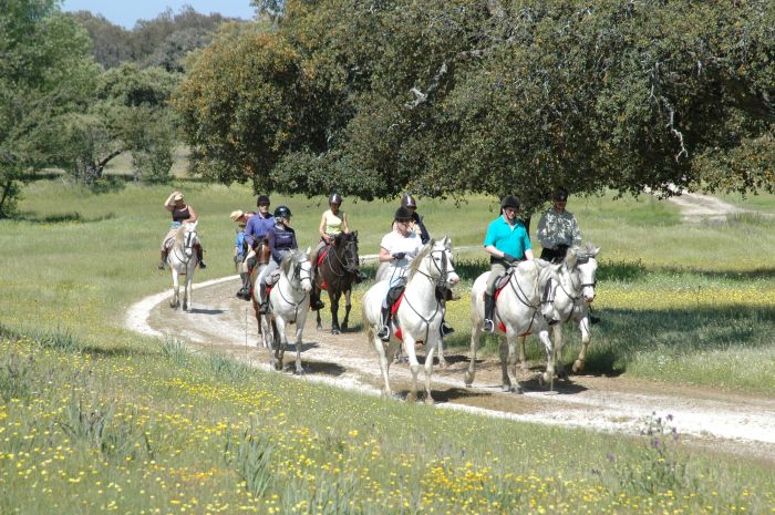 Sur les traces des conquistadors