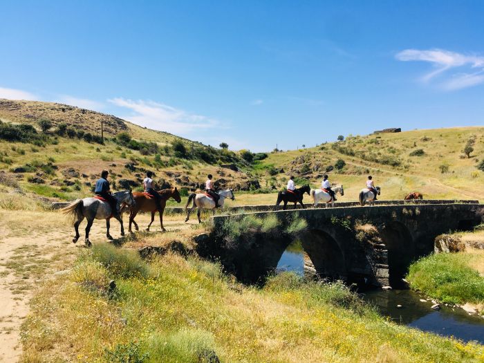 Sur les traces des conquistadors