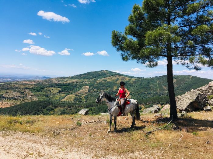 Sur les traces des conquistadors