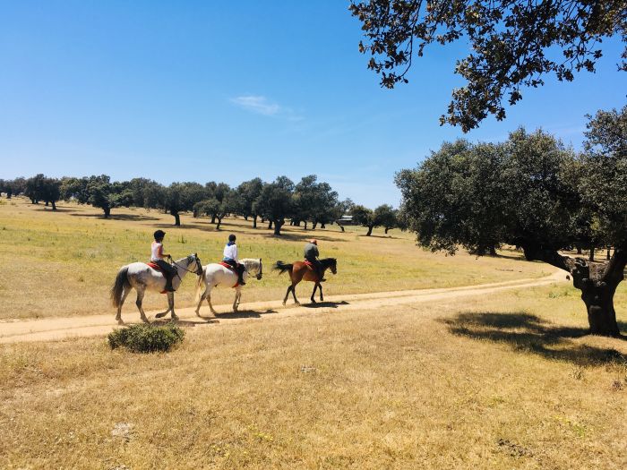 Sur les traces des conquistadors