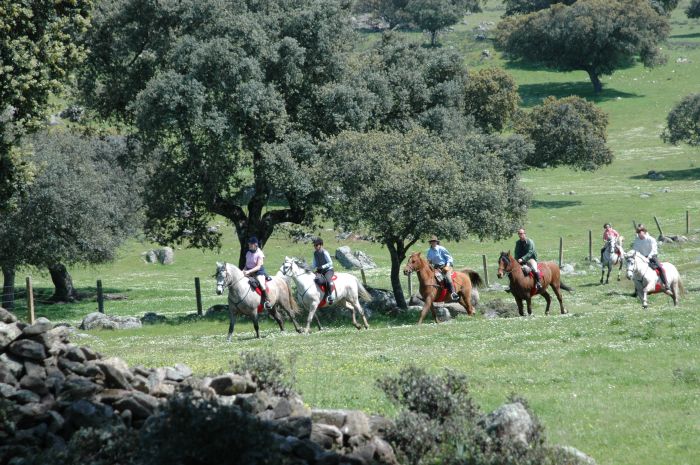Sur les traces des conquistadors