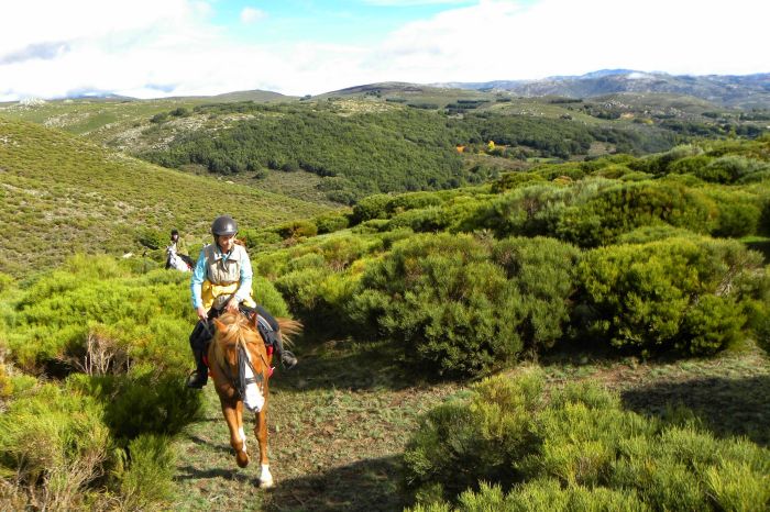 Sur les traces des conquistadors
