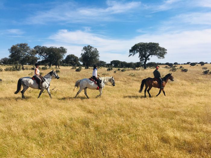 Sur les traces des conquistadors