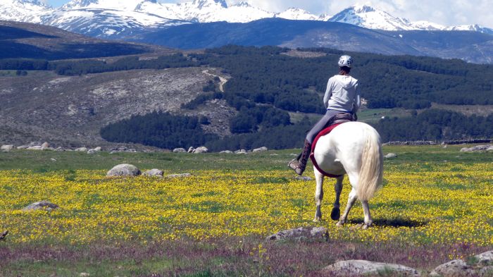 Les randonnées de Gredos