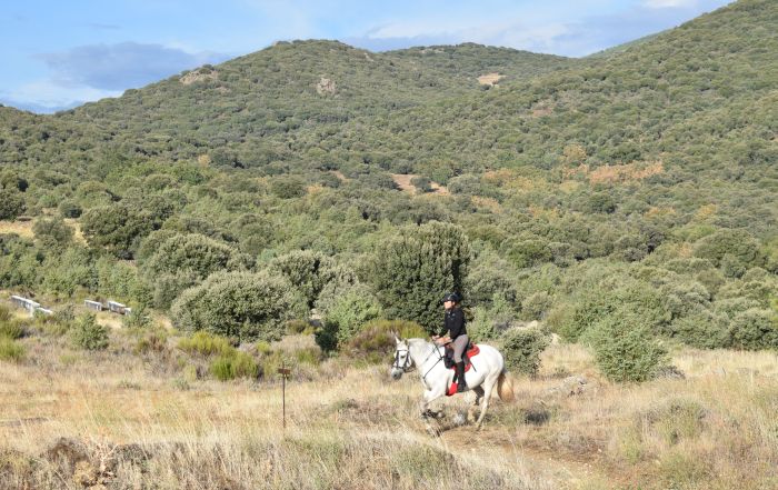 Les randonnées de Gredos