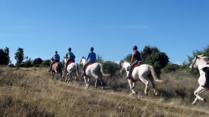 Les randonnées de Gredos