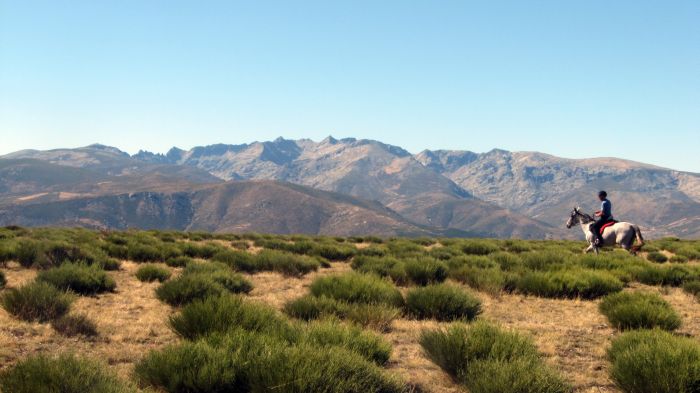 Les randonnées de Gredos
