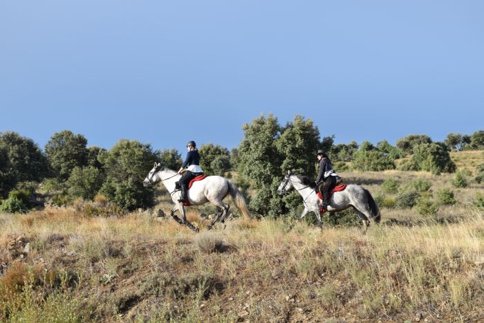 Les randonnées de Gredos