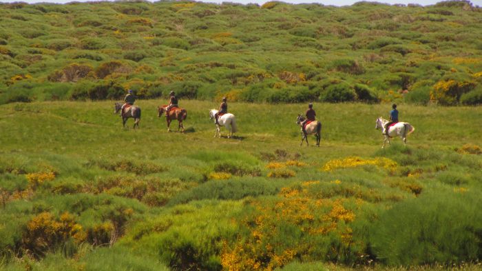 Les randonnées de Gredos