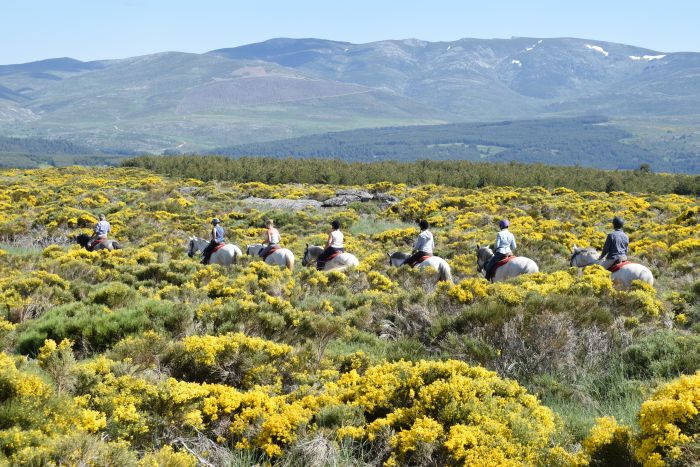 Les randonnées de Gredos