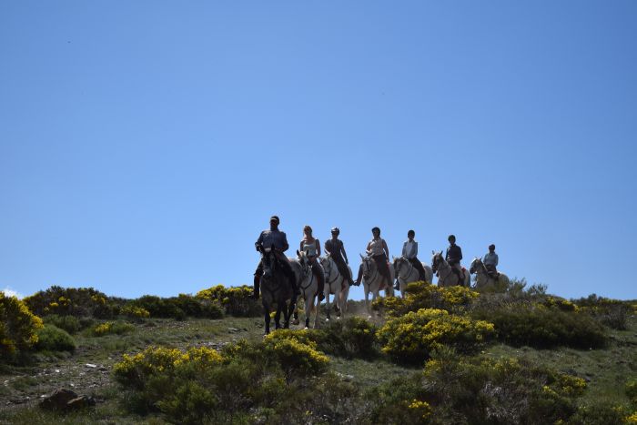 Les randonnées de Gredos