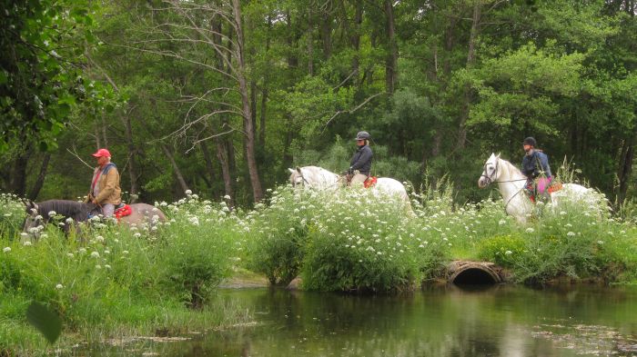 Les randonnées de Gredos