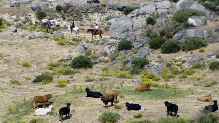 Les randonnées de Gredos