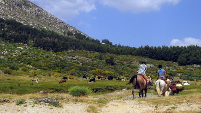 Les randonnées de Gredos