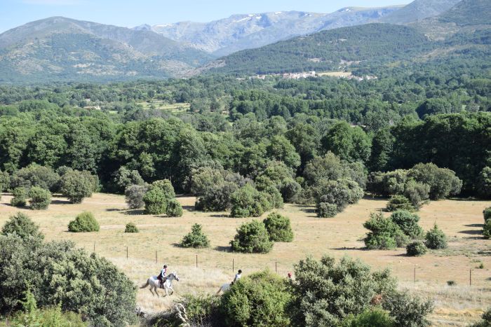 Les randonnées de Gredos