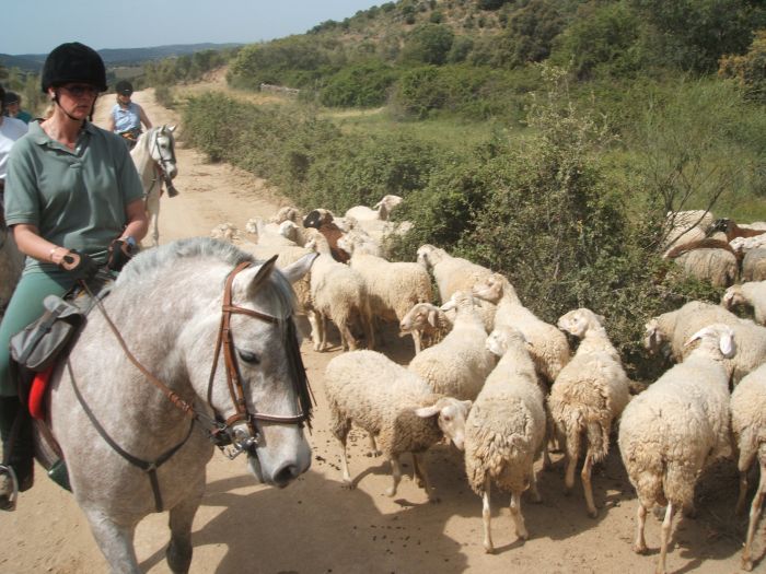 Pèlerinage à Guadalupe