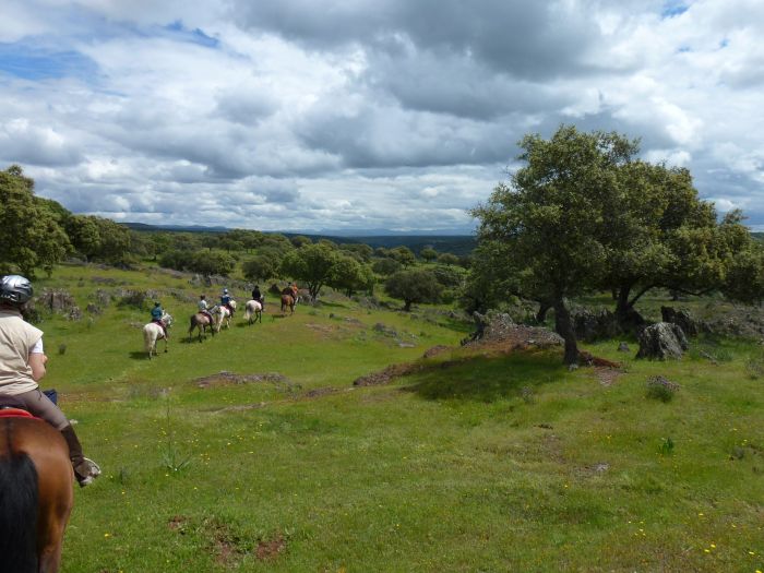 Pèlerinage à Guadalupe