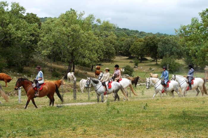 Pèlerinage à Guadalupe