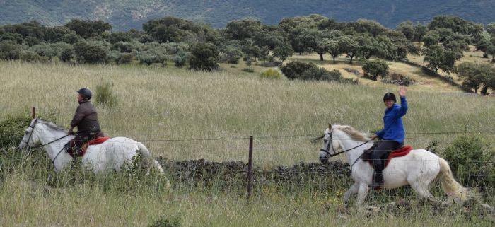 Pèlerinage à Guadalupe